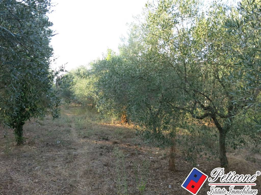 Villa a Fondi in Via Valmaiura, 12 - Foto 5