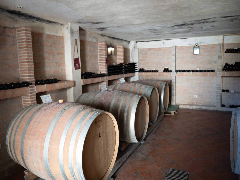 Immobile a Capalbio in Via Della Ficona, 30 - Foto 4