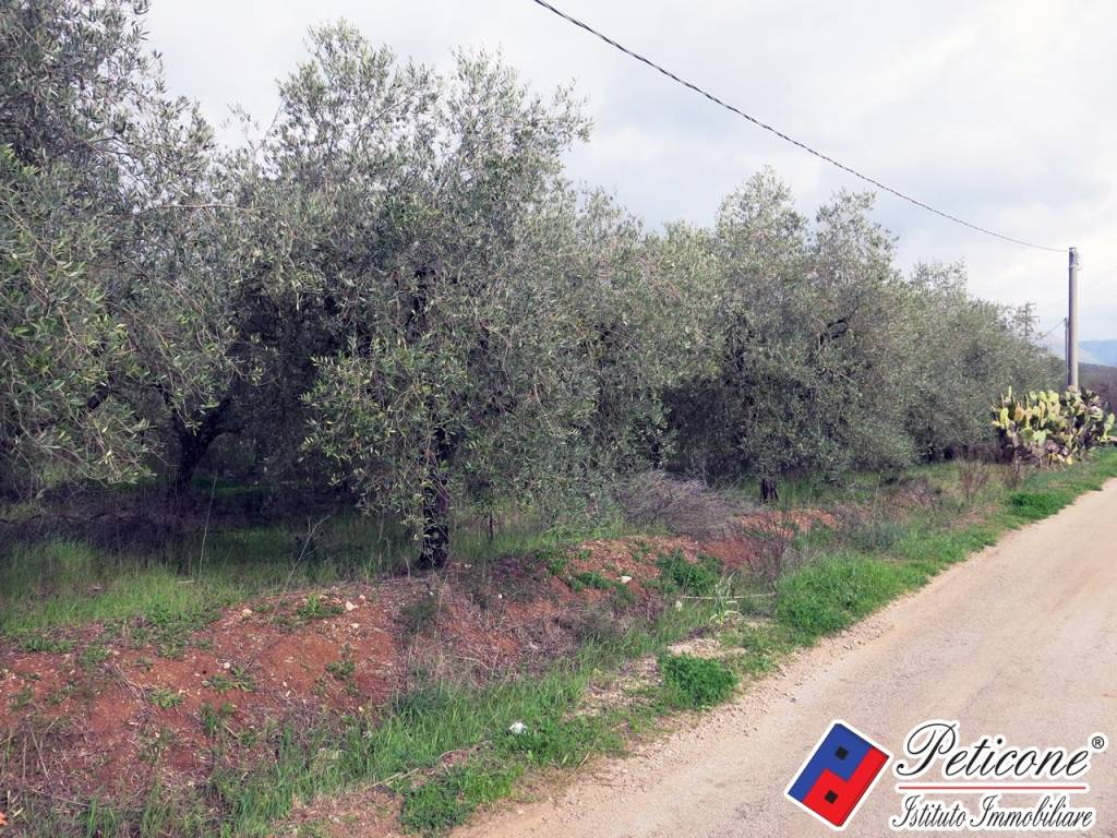 Terreno a Fondi in Via Cesullo, 333 - Foto 2