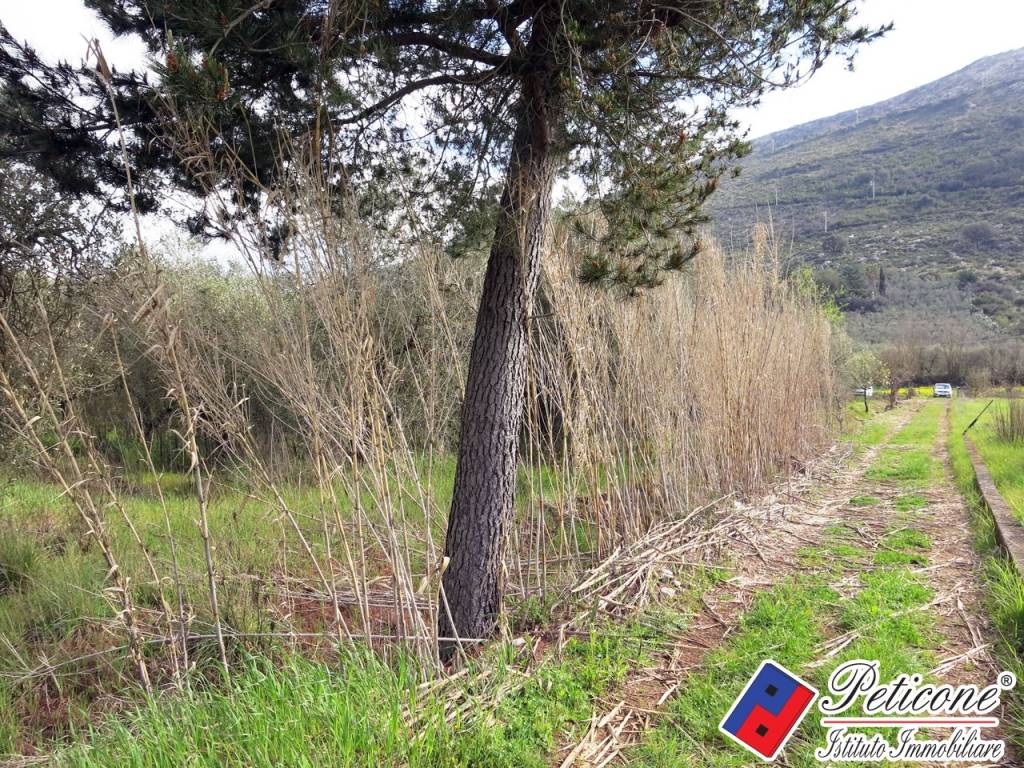 Terreno a Fondi in Via Cesullo, 333 - Foto 3