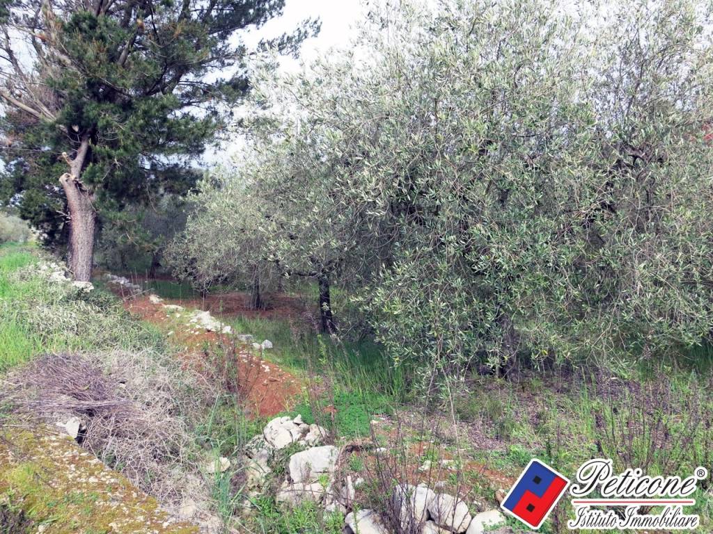 Terreno a Fondi in Via Cesullo, 333 - Foto 5