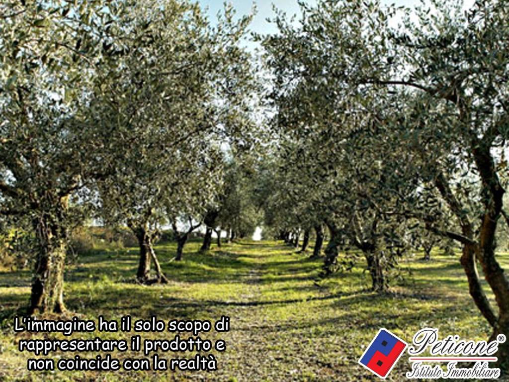 Terreno a Lenola in Valle Bernardo, 12 - Foto 2