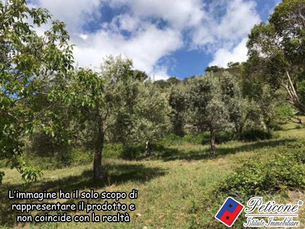 Terreno a Lenola in Valle Bernardo, 12 - Foto 3