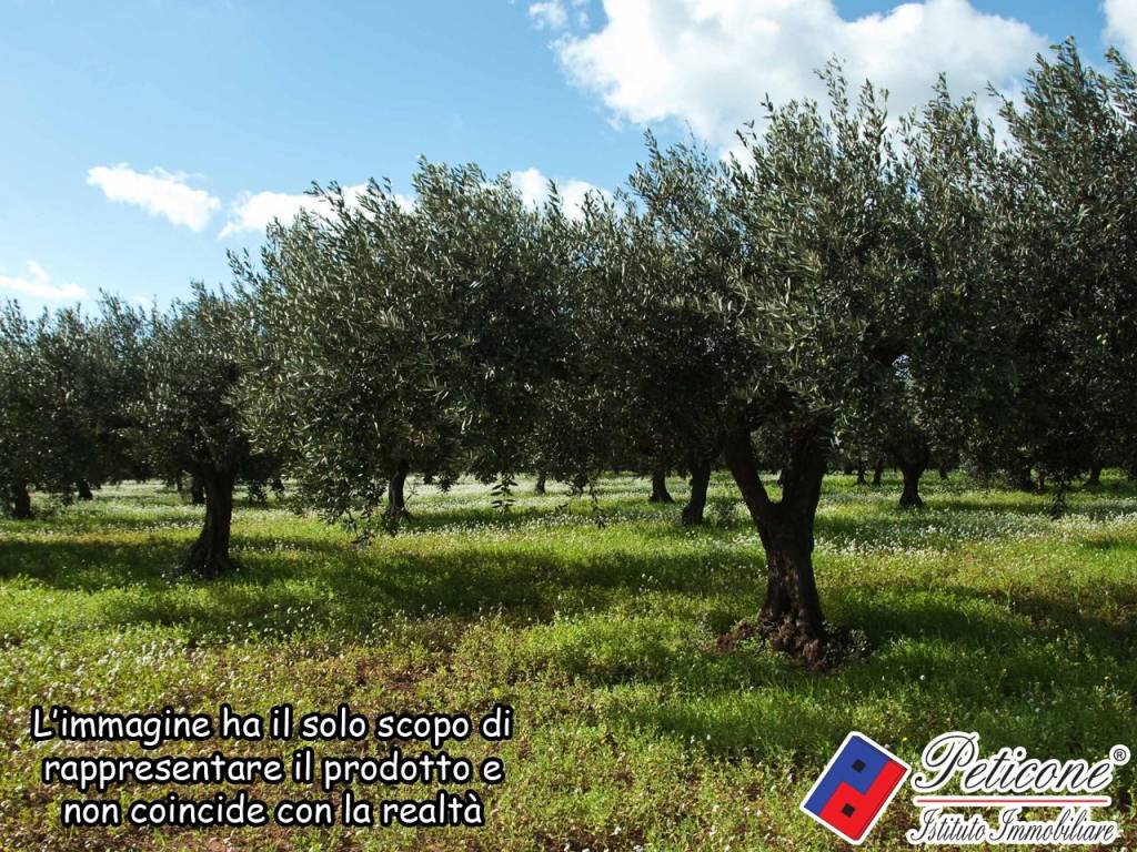 Terreno a Lenola in Valle Bernardo, 12 - Foto 4