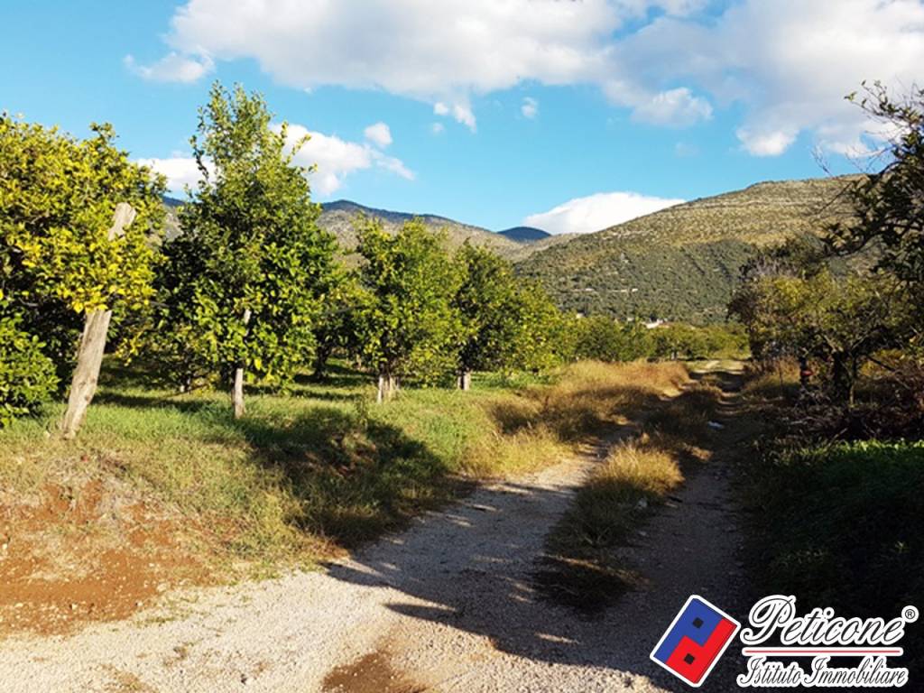 Terreno a Fondi in Via Madonna degli Angeli, 333 - Foto 3