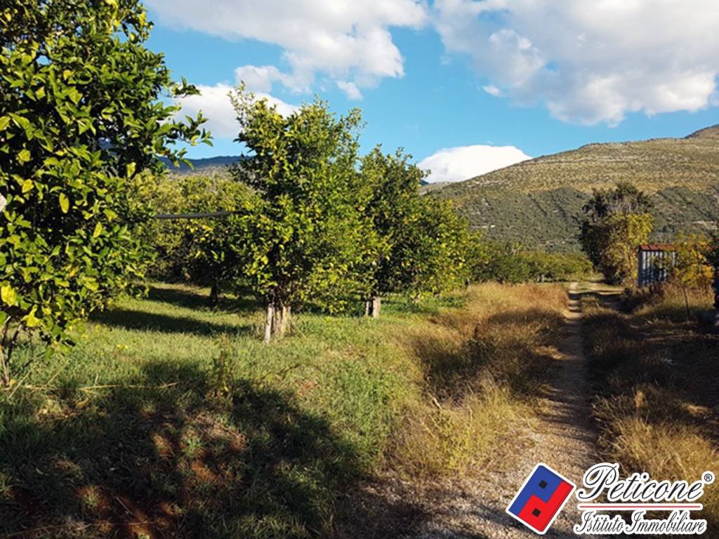 Terreno a Fondi in Via Madonna degli Angeli, 333 - Foto 5