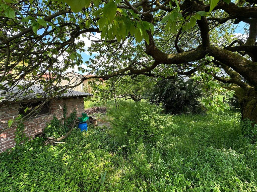 Terreno a Cardano al campo in Via Lazzaretto - Foto 5