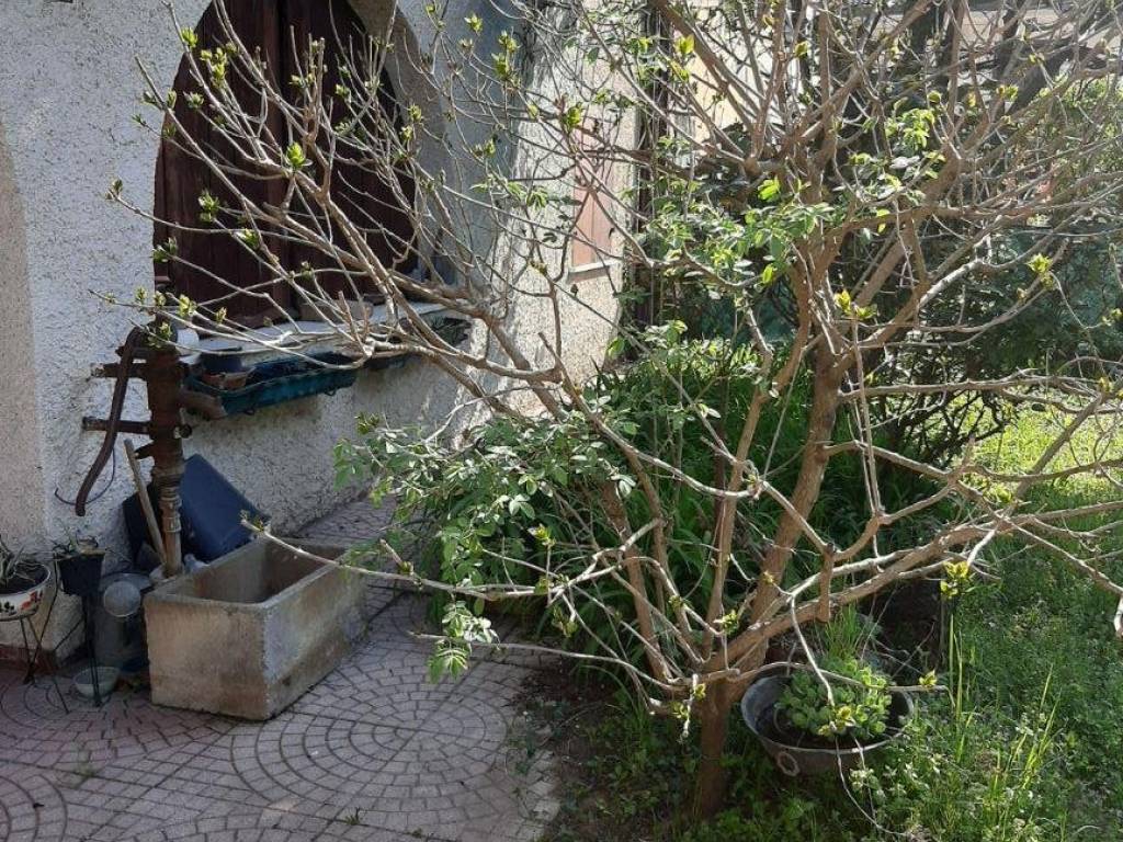 Rustico / casale a Borgoricco in Via Pelosa - Foto 2