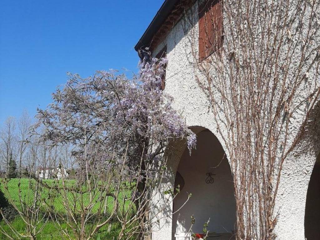 Rustico / casale a Borgoricco in Via Pelosa - Foto 3