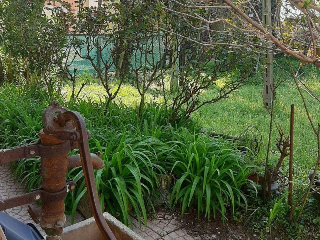 Rustico / casale a Borgoricco in Via Pelosa - Foto 4