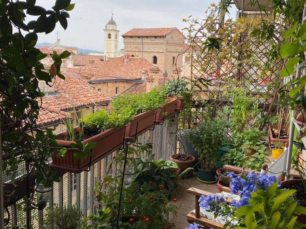 Appartamento a Alba in Via Vernazza - Foto 4
