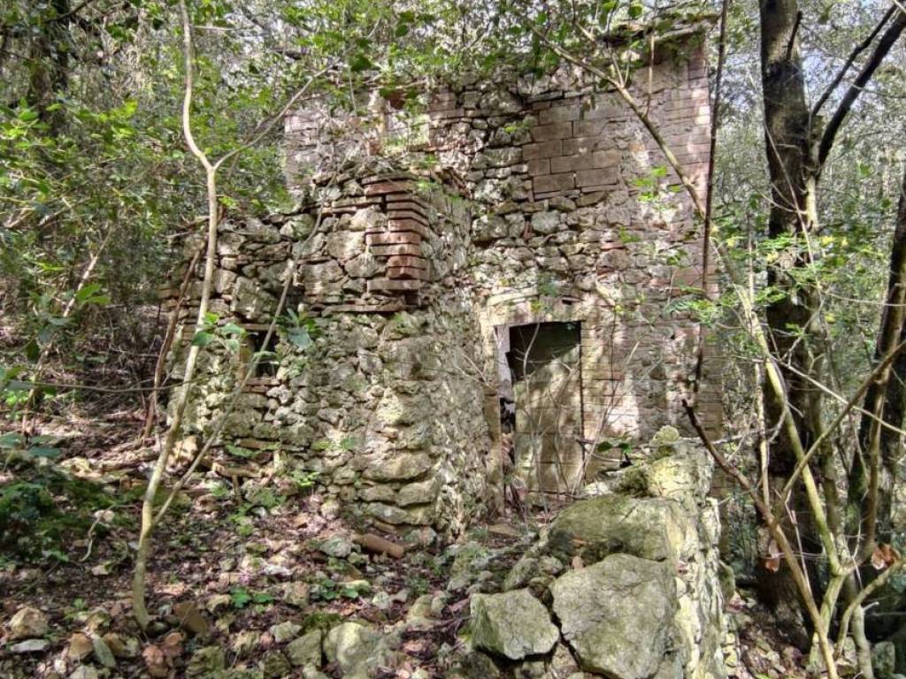Rustico / casale a Amelia - Foto 2