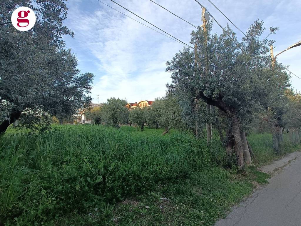 Terreno a Vasto in Via dei Bontempi - Foto 2
