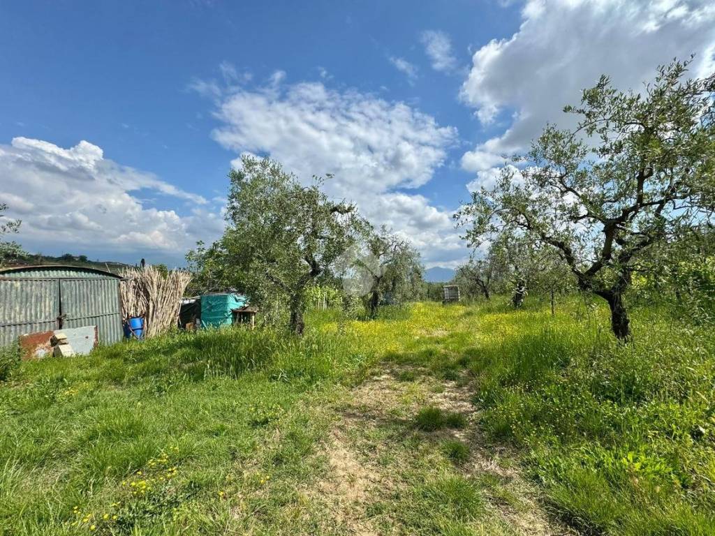 Terreno a Carmignano in Via Baccheretana, 350 - Foto 2