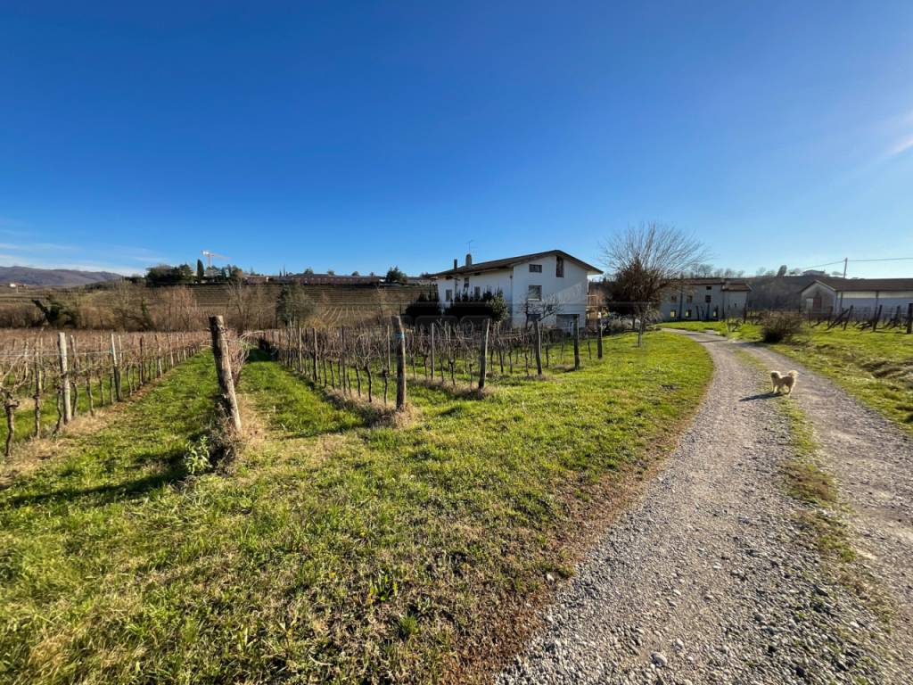 Villa a Cividale del friuli in Via del Collio, 20 - Foto 5
