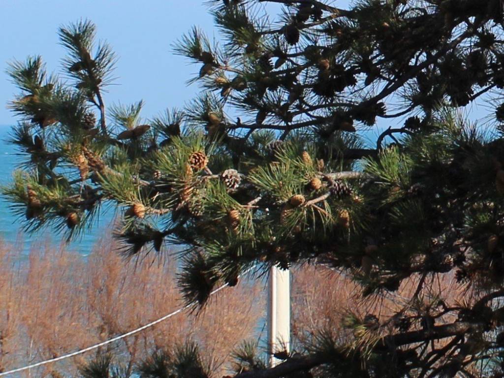 Terreno a Fossacesia in Strada Statale 16 Adriatica, 89 - Foto 2