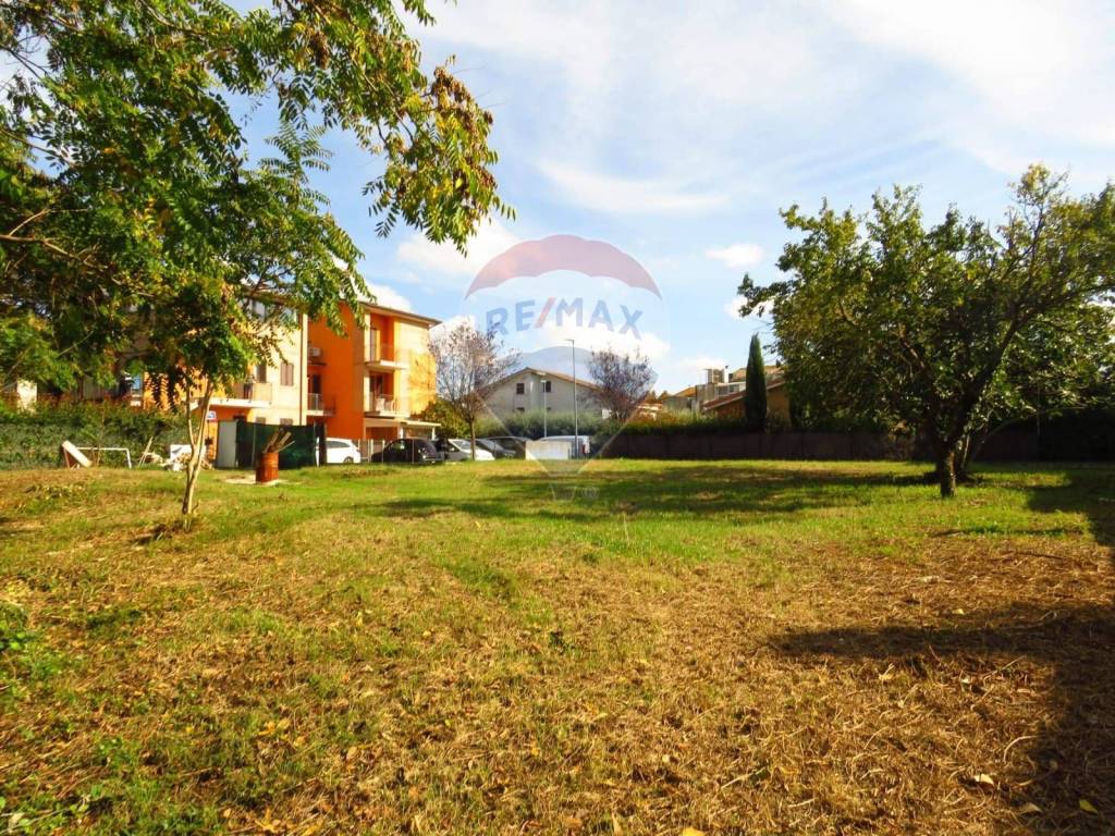 Terreno a Castelbellino - Foto 4
