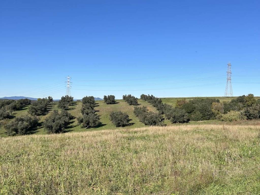 Terreno a Tuscania in località Montebello - Foto 3