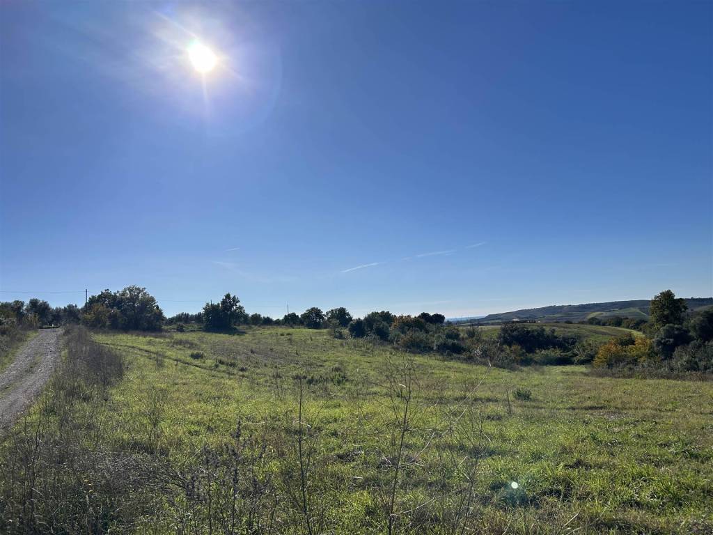 Terreno a Tuscania in località Montebello - Foto 4