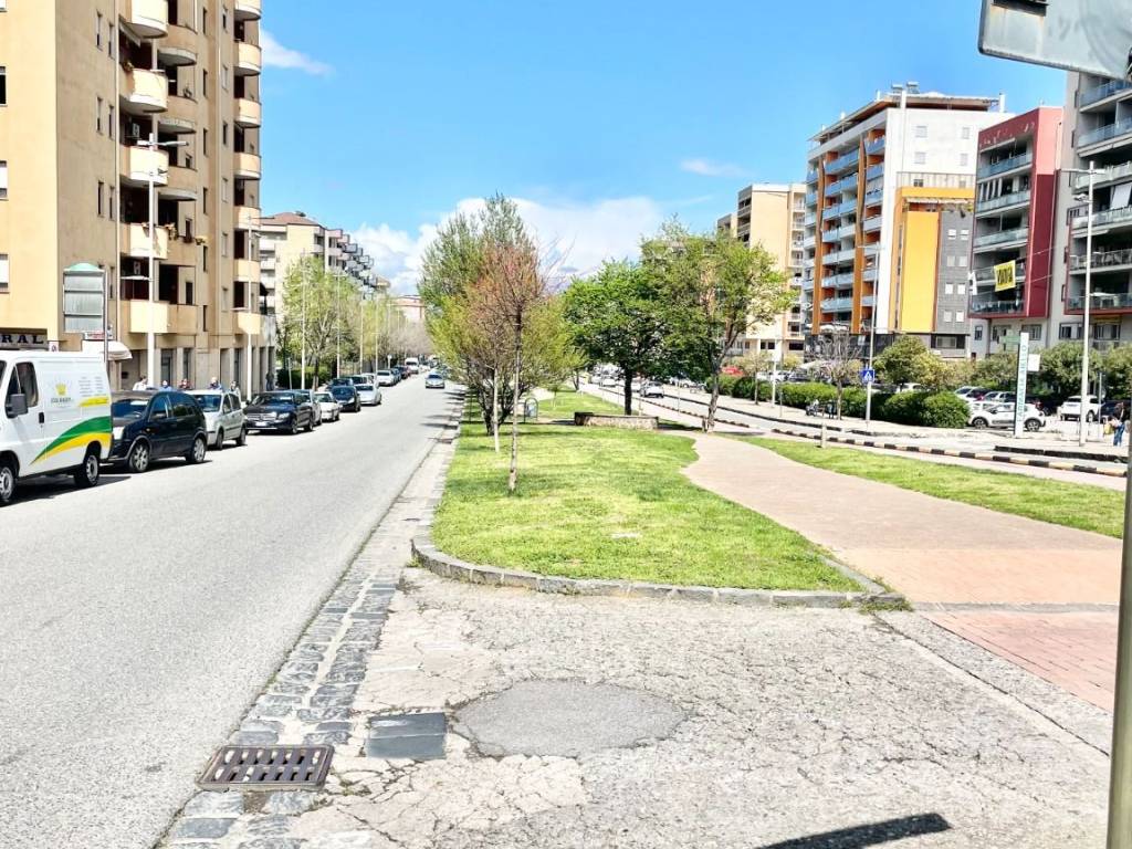 Appartamento a Cosenza in Viale Giacomo Mancini, 251 - Foto 2
