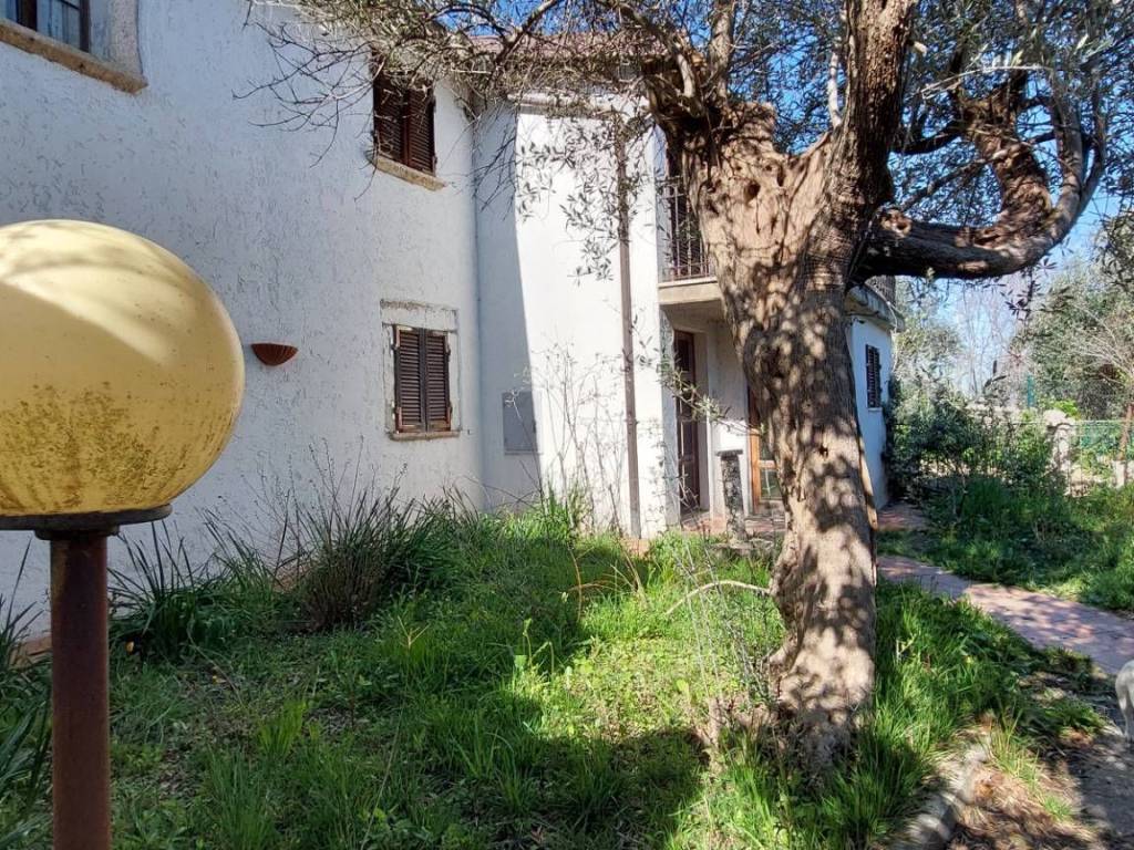 Rustico / casale a Ascoli piceno in frazione Lisciano - Foto 3