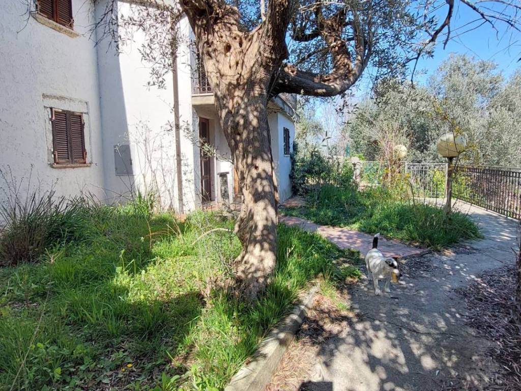 Rustico / casale a Ascoli piceno in frazione Lisciano - Foto 4