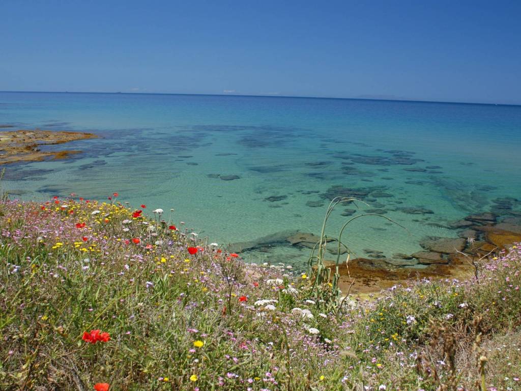 Terreno a Castelsardo in Strada Statale Castelsardo - Foto 5