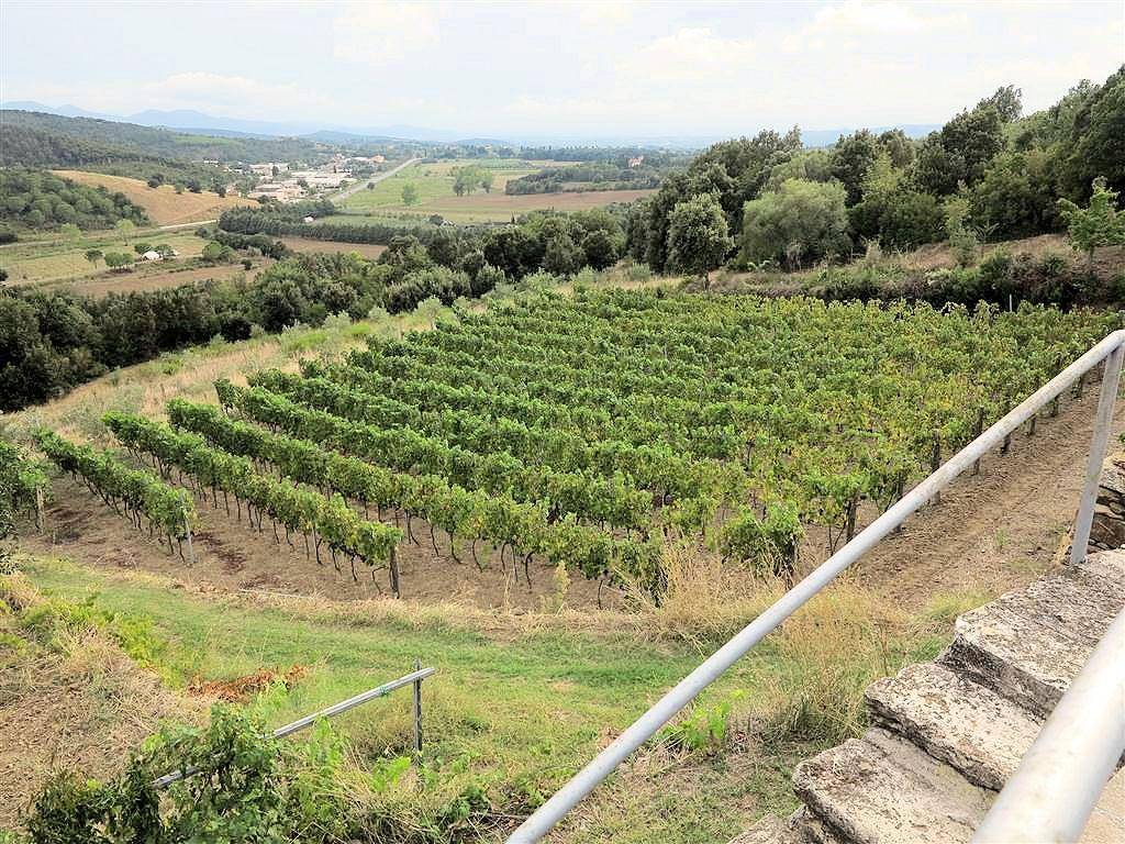 Rustico / casale a Massa marittima - Foto 3