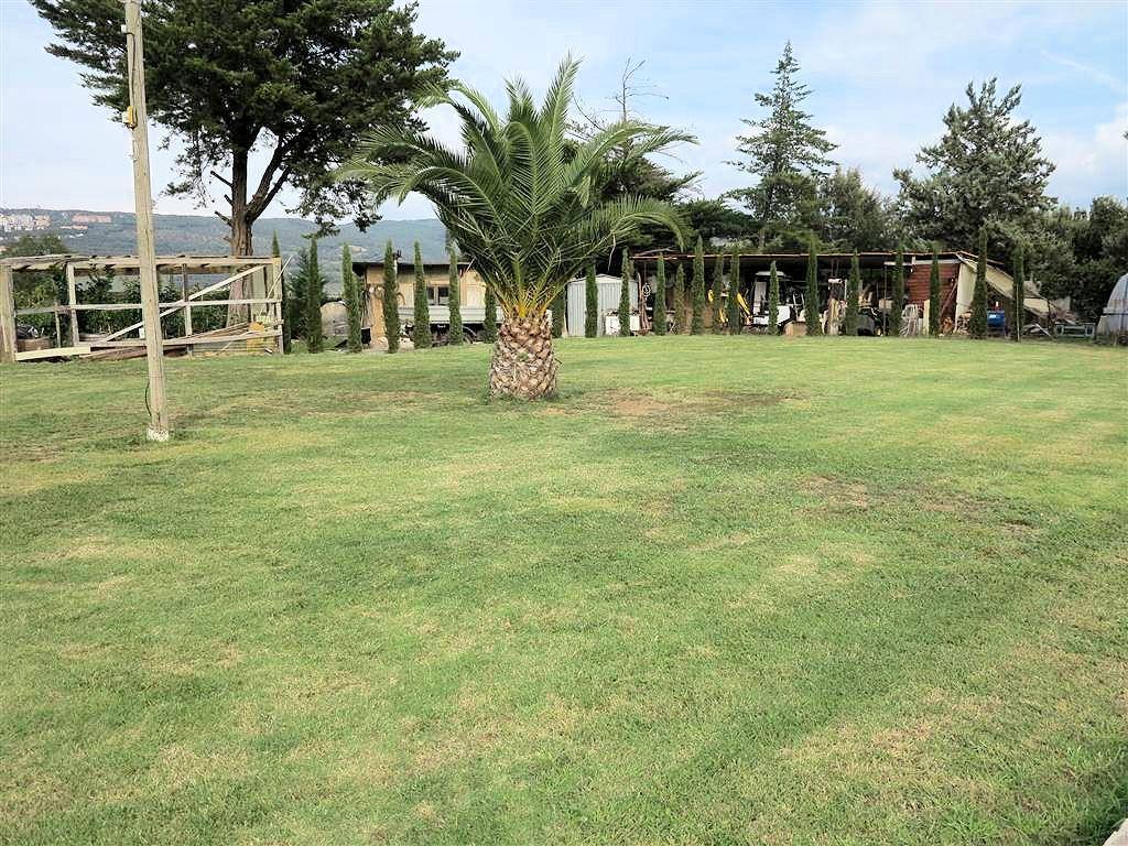 Rustico / casale a Massa marittima - Foto 4