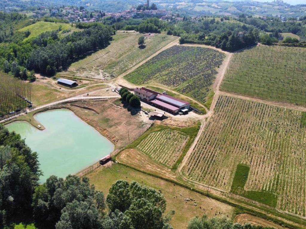 Immobile a Carpeneto in località Mardelloro - Foto 2