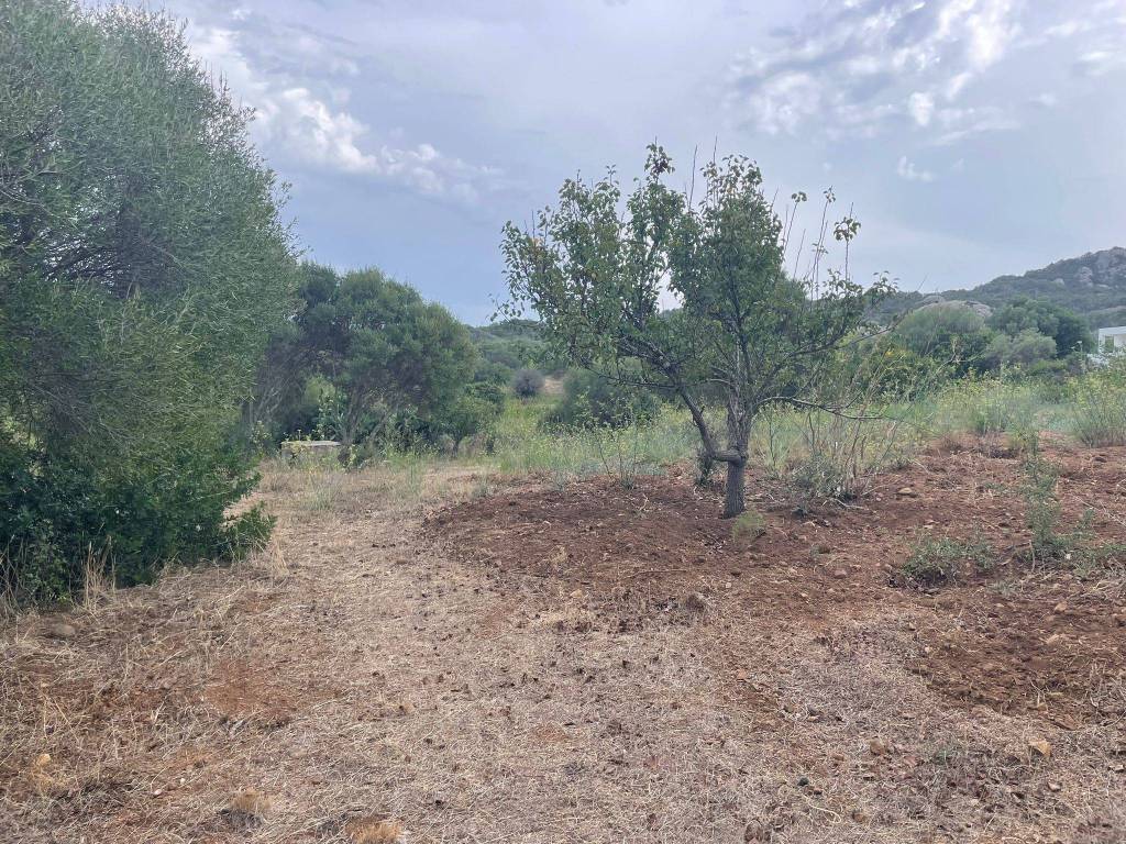 Terreno a Arzachena in SP59 - Foto 3