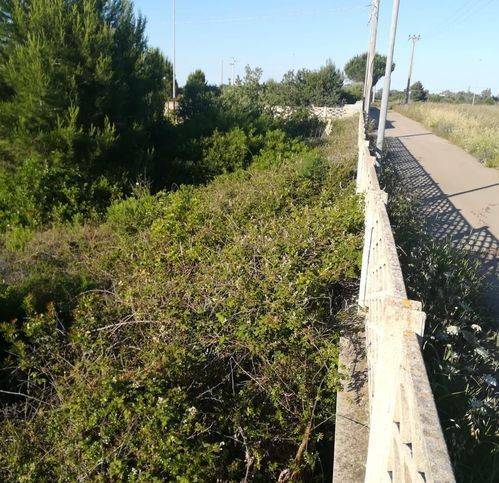 Terreno a Lecce in Via Delle Mammole - Foto 2