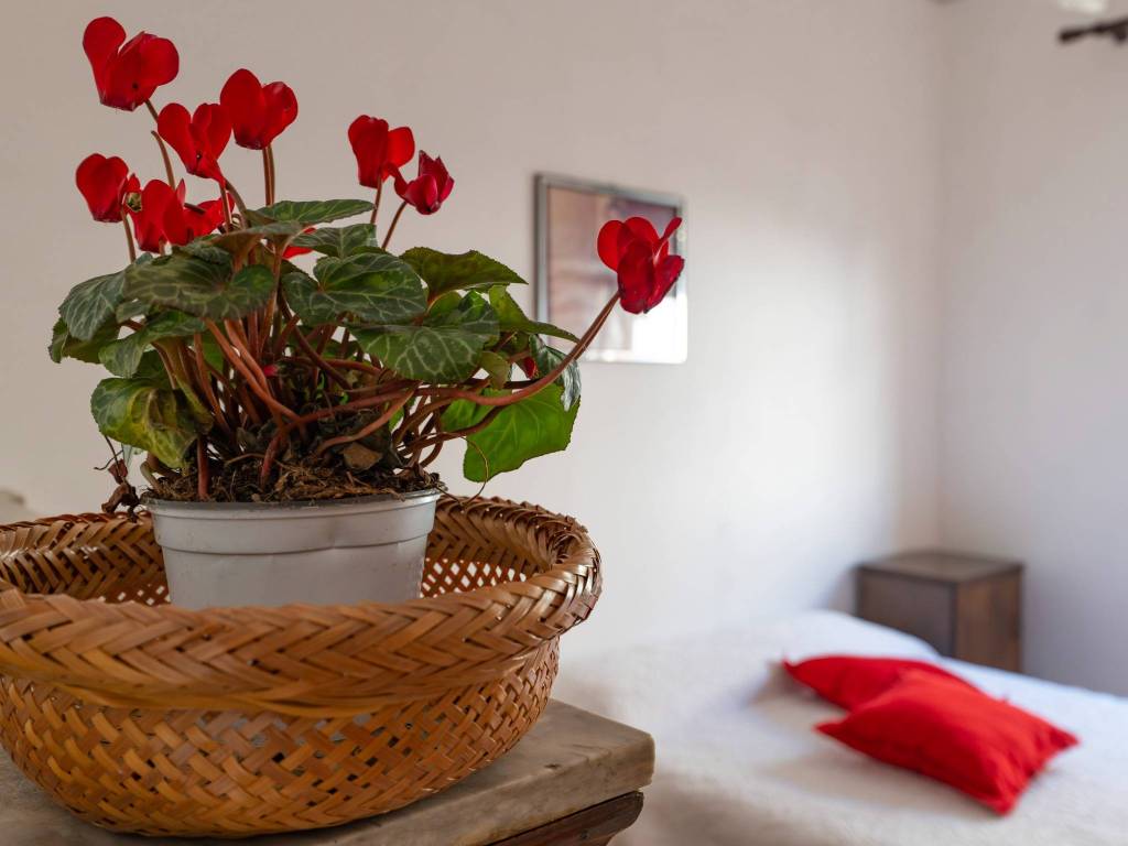 Appartamento a Santa croce camerina in Via Benedetto Croce, 7 - Foto 2