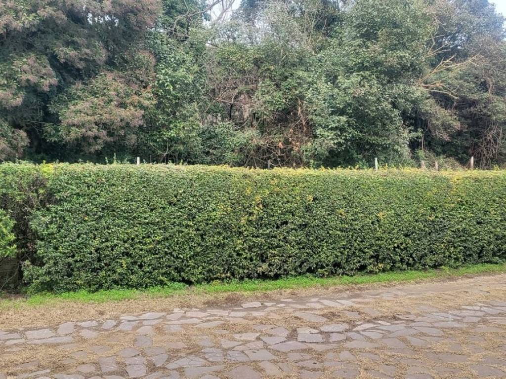 Rustico / casale a Verona in VIA OLIVè, 70 - Foto 3