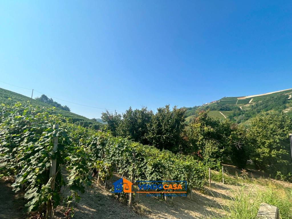 Immobile a Neviglie in Località Tinella, 31 - Foto 2