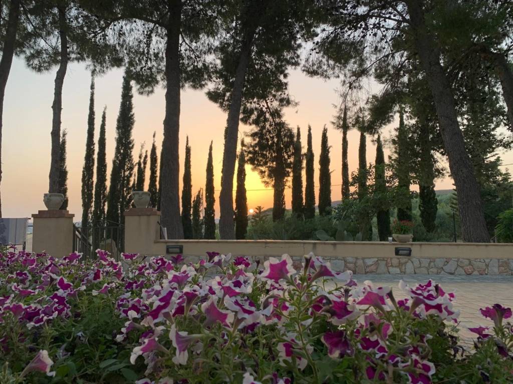 Villa a Sambuca di sicilia in Contrada Batia - Foto 5
