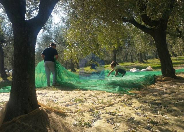 Terreno a Lanciano - Foto 3