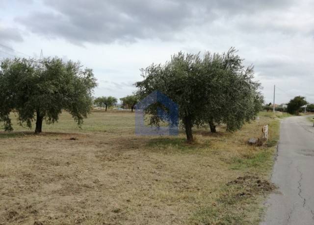 Terreno a Lanciano - Foto 4