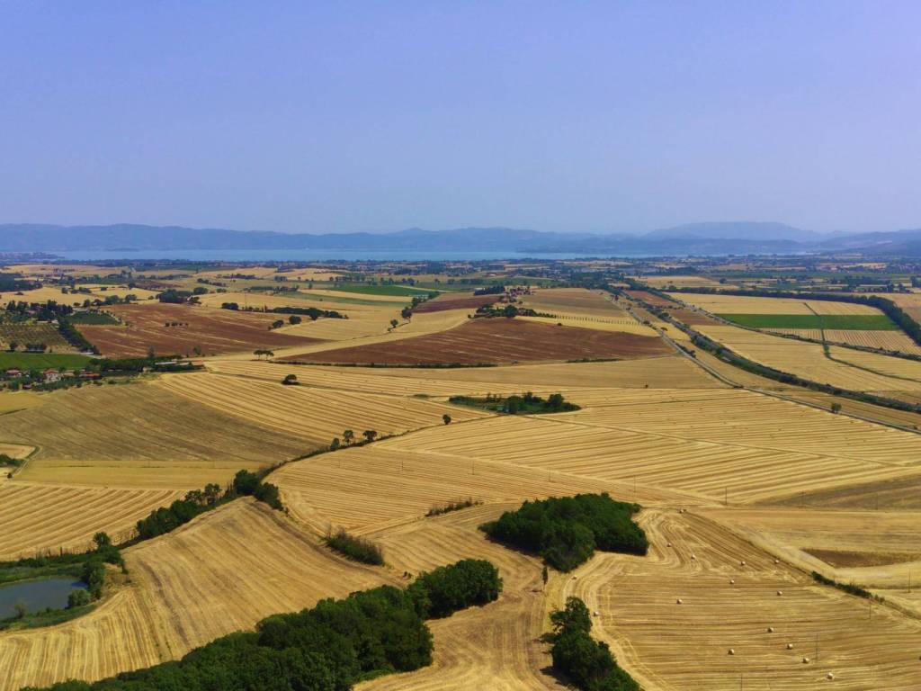 Immobile a Castiglione del lago - Foto 5