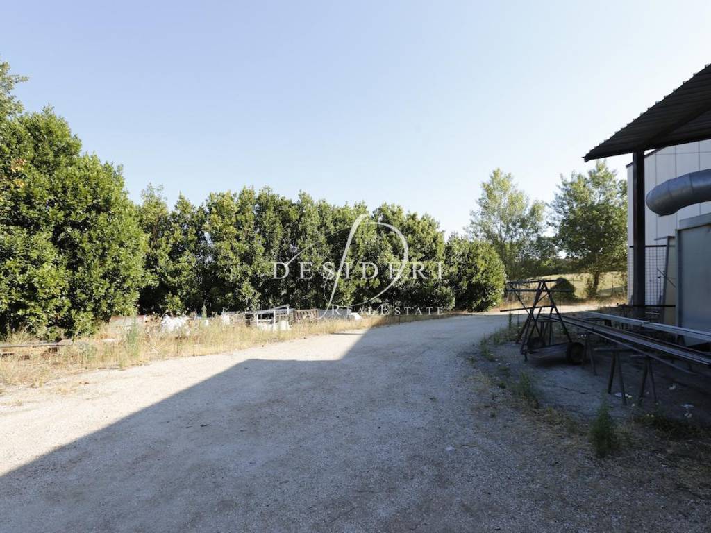 Immobile a Magliano in toscana in Str. Provinciale di Montiano - Foto 3