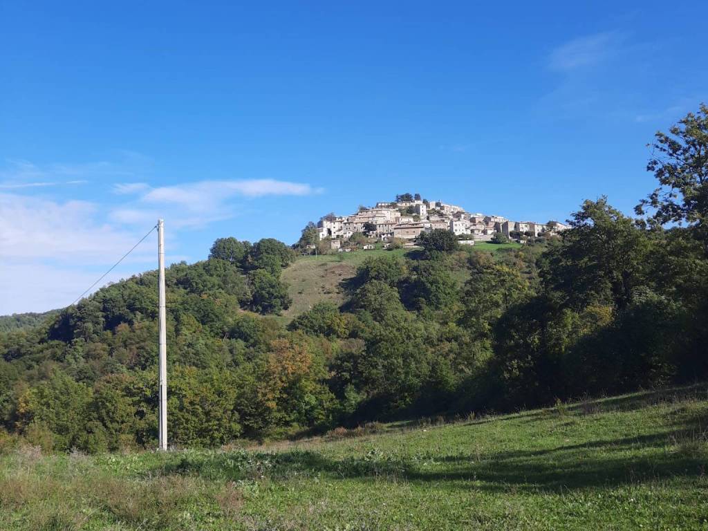 Terreno a Semproniano in Strada Provinciale per Rocchette - Foto 3