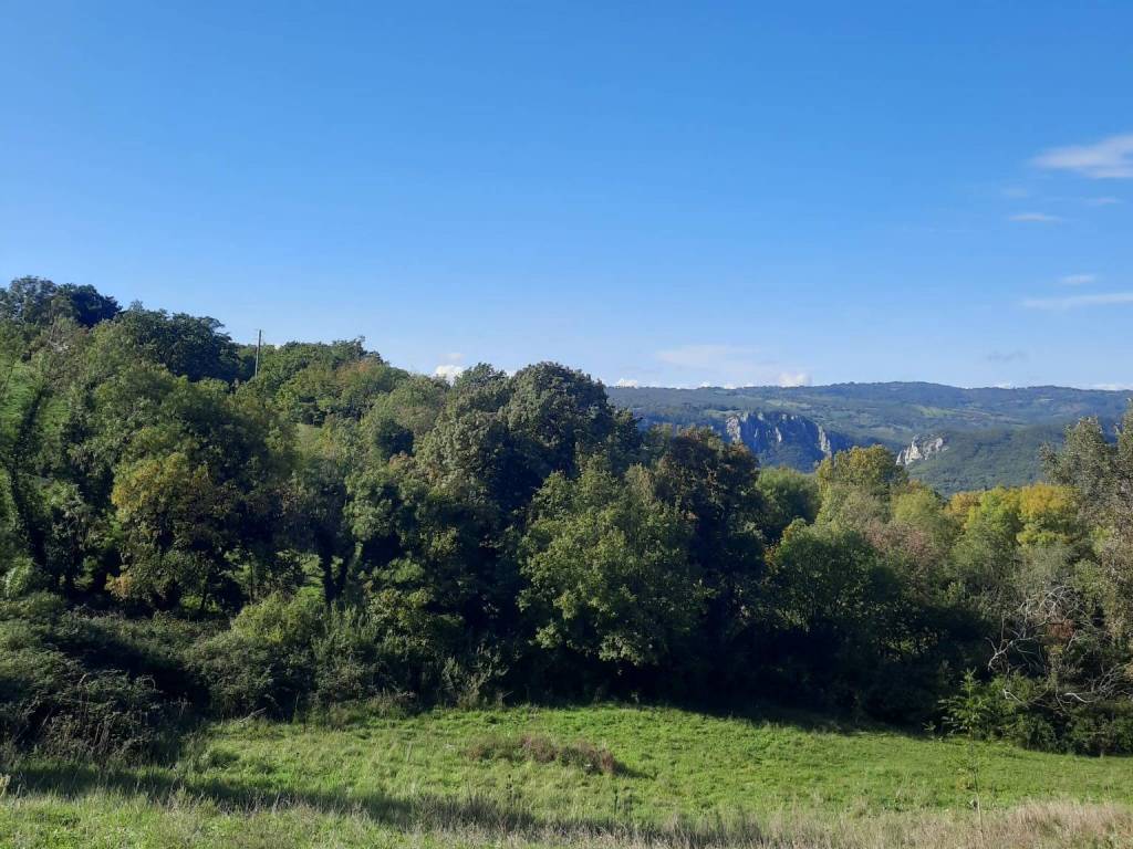 Terreno a Semproniano in Strada Provinciale per Rocchette - Foto 4
