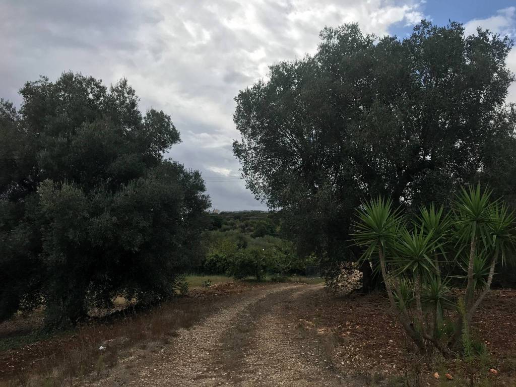 Rustico / casale a Ceglie messapica in Galante Menzella - Foto 2