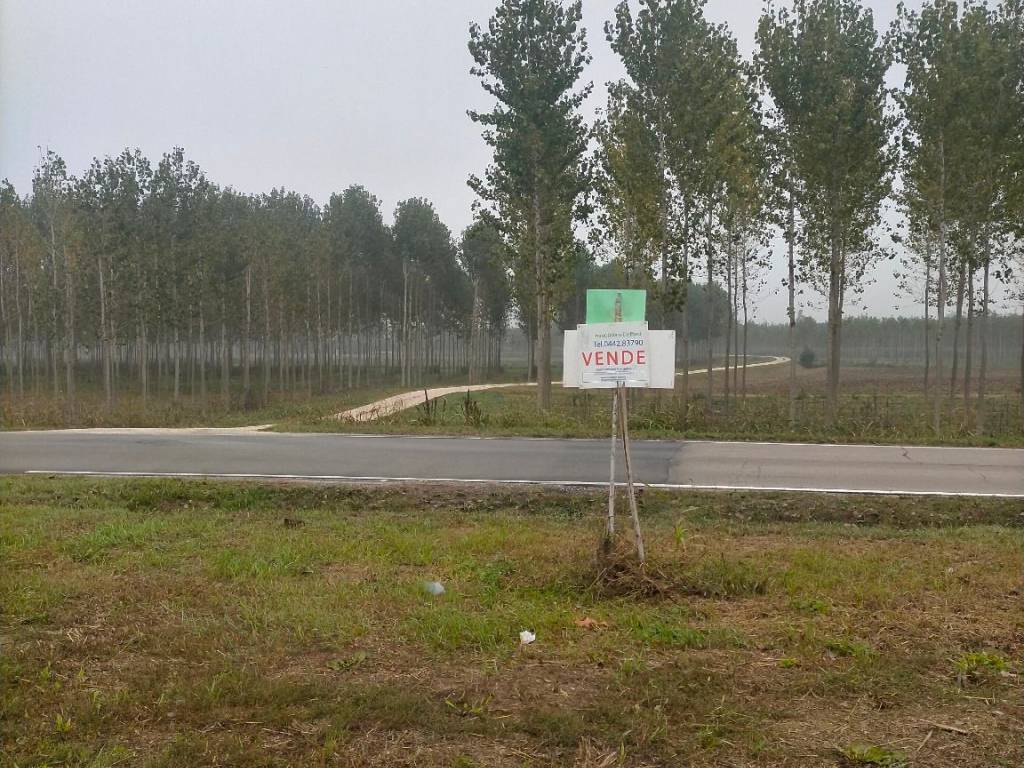 Terreno a Cerea in Via Elio Vittorini, 6 - Foto 3