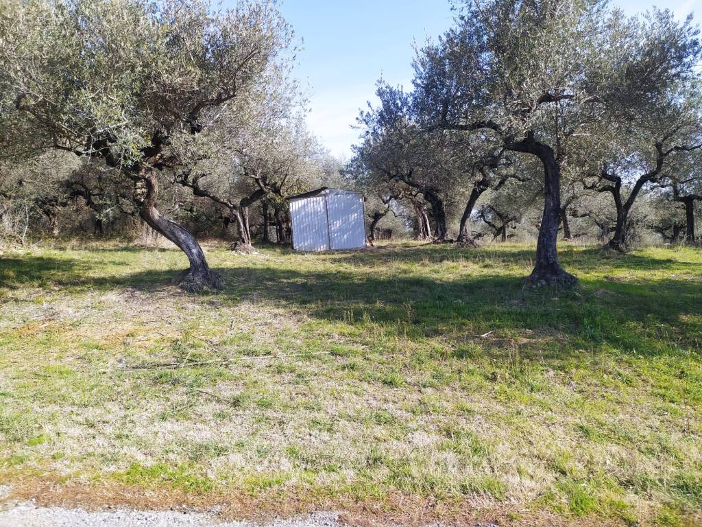 Terreno a Loreto aprutino in Contrada Marzengo, 4 - Foto 2