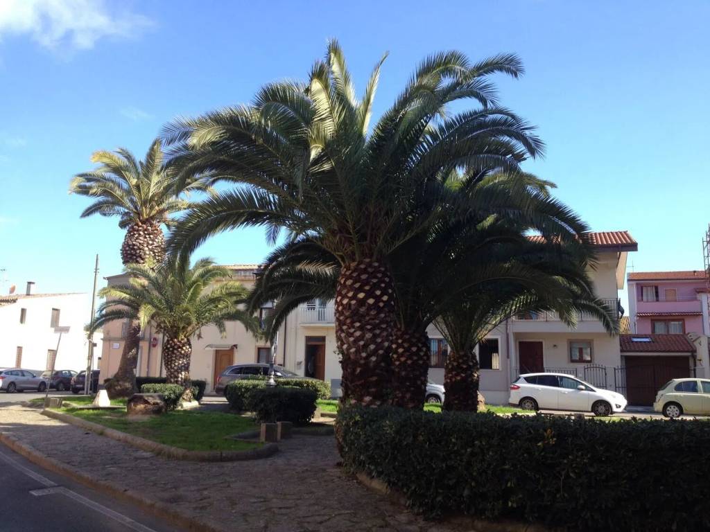 Casa indipendente a Oristano in Via Angioy, 31 - Foto 3