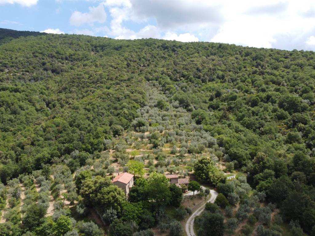 Rustico / casale a Cortona - Foto 5