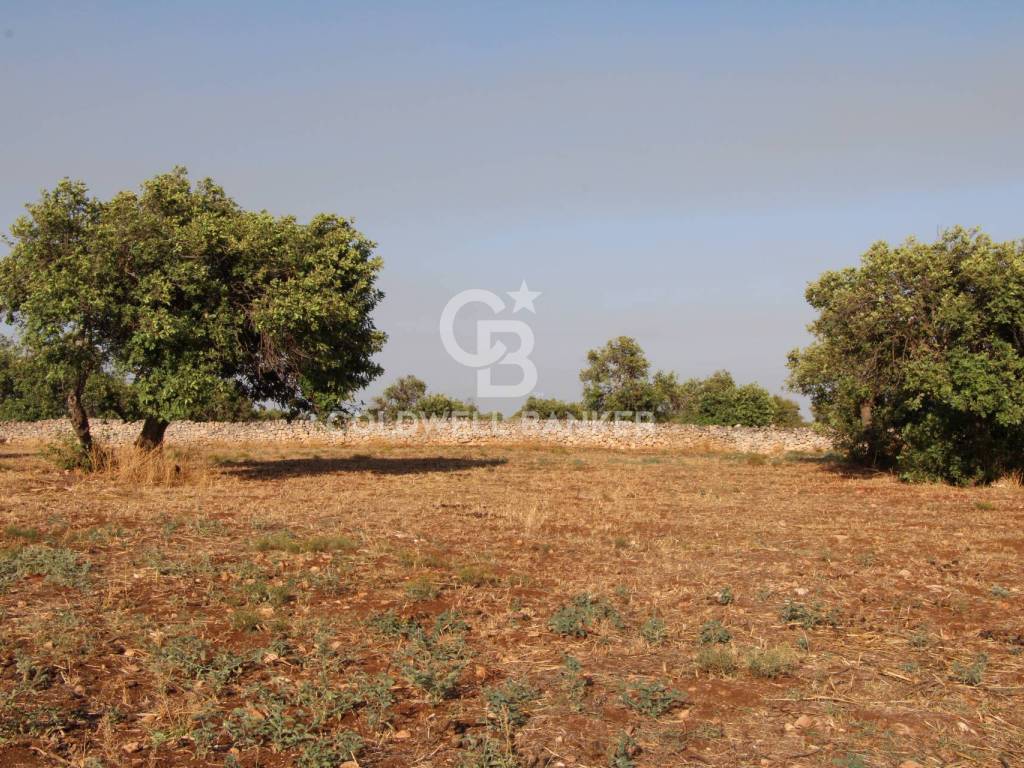 Terreno a Scicli in S.P. 41 - Foto 3