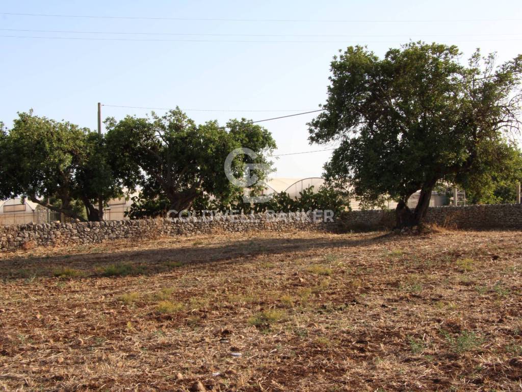 Terreno a Scicli in S.P. 41 - Foto 4