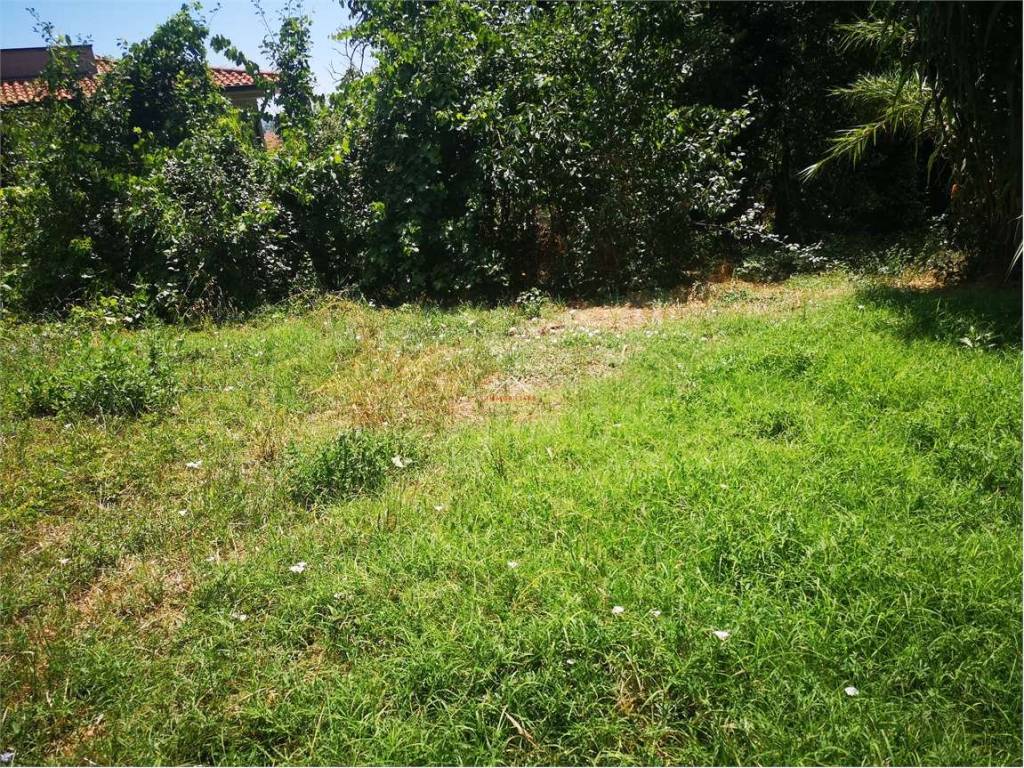 Terreno a Città di castello in Via Carlo Porta - Foto 2
